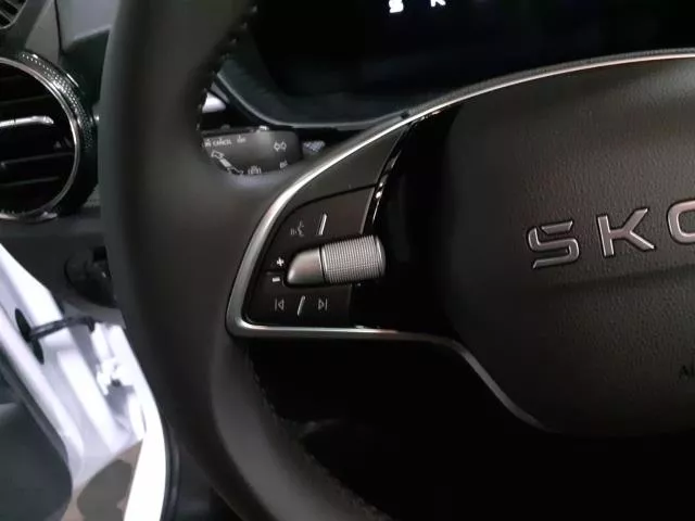 Skoda Fabia 1.0 TSI Selection 70 kW (95 CV) de segunda mano