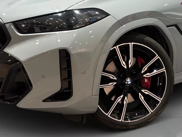 BMW X6 xDrive30d 210 kW (286 CV) de segunda mano