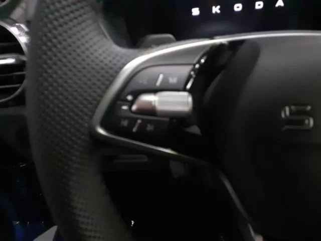 Skoda Fabia 1.0 TSI Plus DSG 85 kW (115 CV) de segunda mano