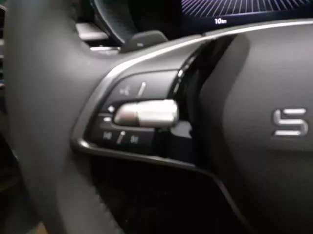 Skoda Fabia 1.0 TSI Selection DSG 85 kW (115 CV) de segunda mano