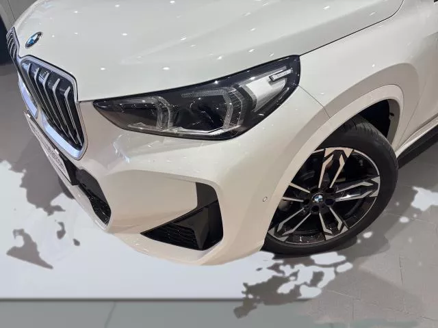 BMW X1 xDrive20d 120 kW (163 CV) de segunda mano
