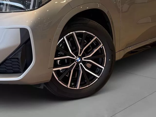 BMW X1 sDrive20i 125 kW (170 CV) de segunda mano