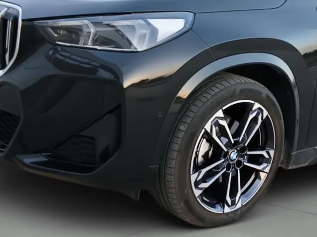 BMW X1 xDrive20d 120 kW (163 CV) de segunda mano