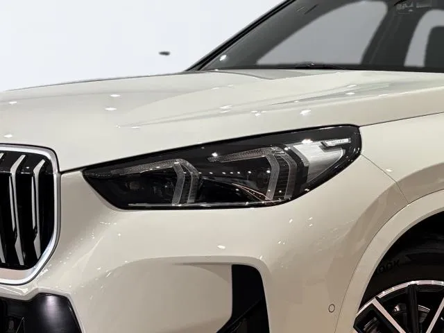 BMW X1 sDrive20d 120 kW (163 CV) de segunda mano