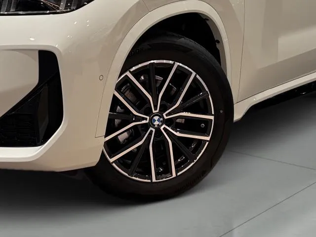 BMW X1 sDrive20d 120 kW (163 CV) de segunda mano