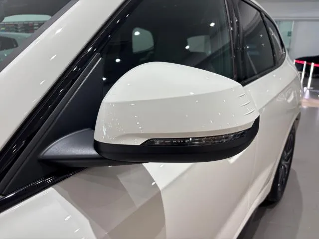 BMW X1 sDrive20d 120 kW (163 CV) de segunda mano