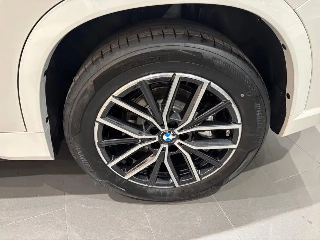 BMW X1 sDrive20d 120 kW (163 CV) de segunda mano