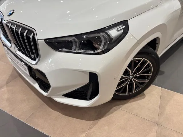 BMW X1 sDrive20d 120 kW (163 CV) de segunda mano