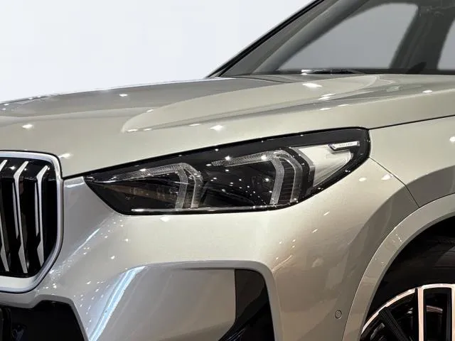 BMW X1 sDrive20i 125 kW (170 CV) de segunda mano