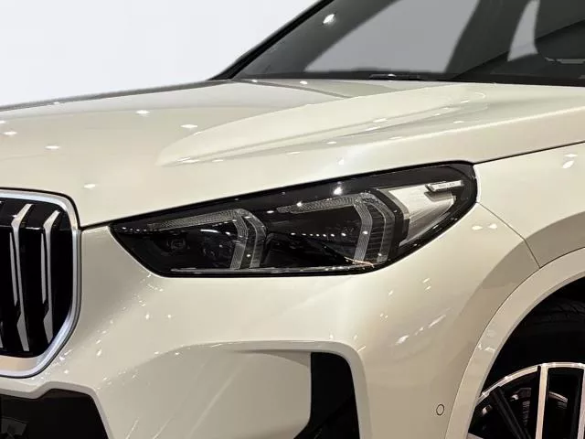 BMW X1 xDrive25e 180 kW (245 CV) de segunda mano