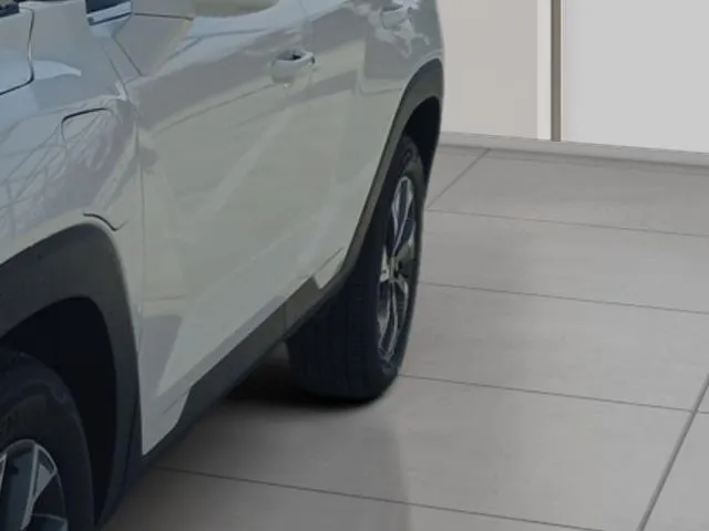 KGM Torres EVX EVX Life 152 kW (207 CV) de segunda mano