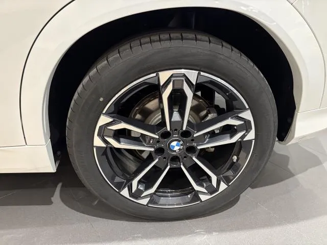 BMW X2 xDrive20d 120 kW (163 CV) de segunda mano