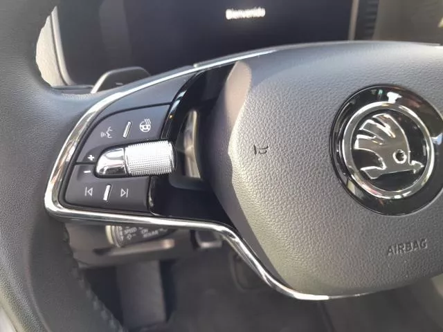 Skoda Karoq 1.5 TSI ACT Ambition DSG 110 kW (150 CV) de segunda mano