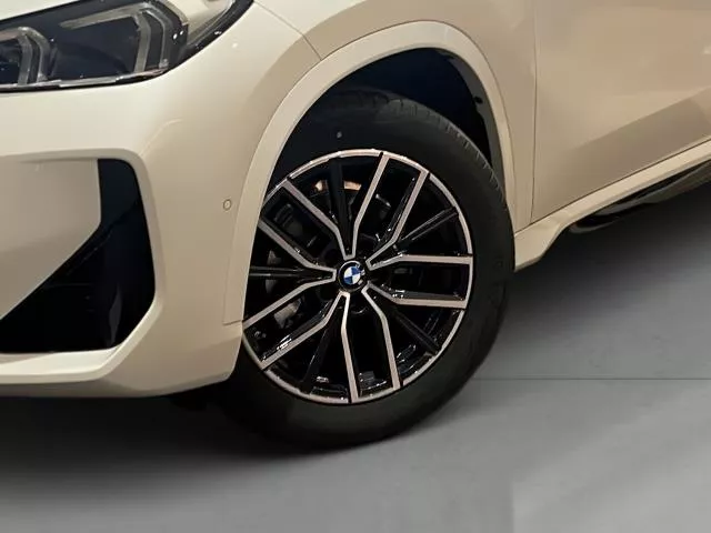 BMW X1 sDrive20d 120 kW (163 CV) de segunda mano